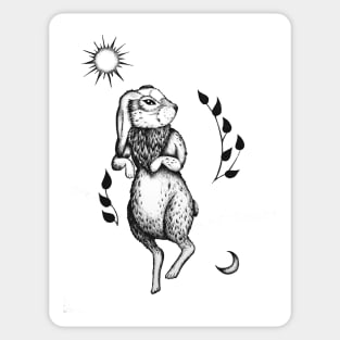Sun moon and white rabbit Sticker